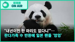 눈물의 작별…일본, 판다 없는 나라 되나? 🐼