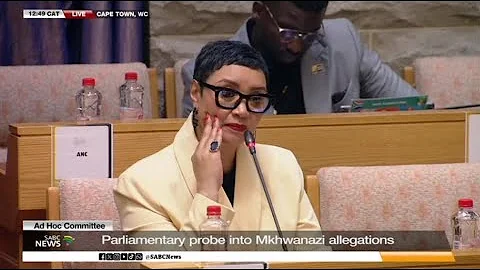 Ad Hoc Committee | Senzo Mchunu answers questions from MP Dereleen James