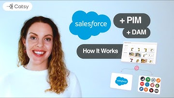 Salesforce PIM: How it Works | Catsy