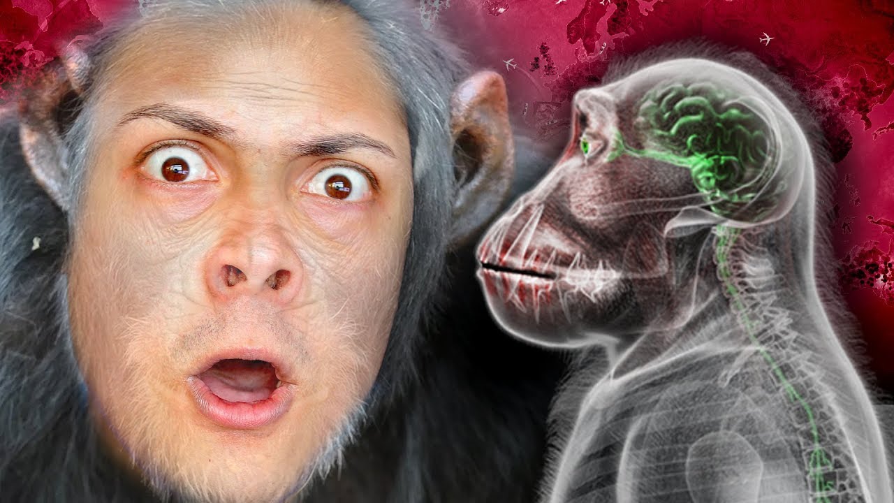 how monkeys became SMARTER than HUMANS (Plague Inc Evolved)