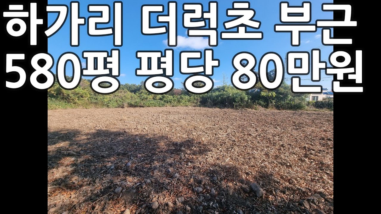 땅이 예쁘게 나왔어요. 마을도 예뻐요 하가리 더럭초 인근 580평 토지 매매