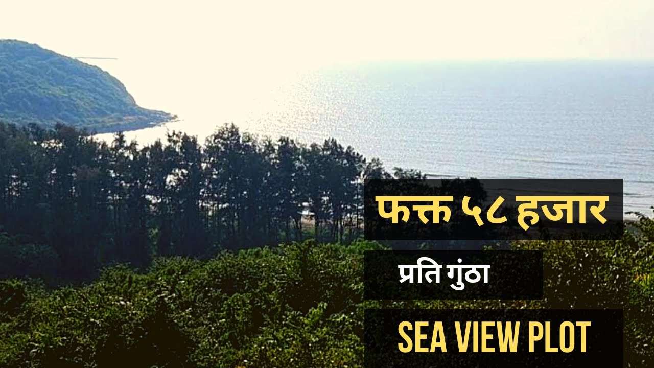 बीचपासून ४०० मिटरवर Sea view land kokan sea view plots kokan sea