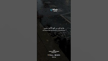 تلاوة خاشعة | سورة الفتح آية السكينة بصوت مشاري راشد العفاسي