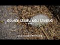 Aduhai! Seribu Kali Sayang (Lyrics) - Iklim (Cover by Harry Parintang)