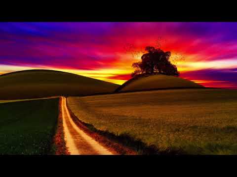 Celestial Synchronicity