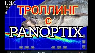 Троллинг с Panoptix