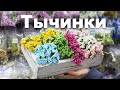 Тычинки 100 Идей Тичинки 100 Ідей