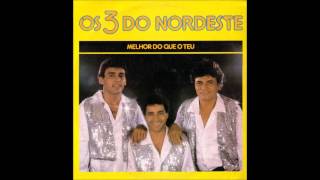 Video thumbnail of "Os 3 do Nordeste - 07 FORRÓ COM AMOR"