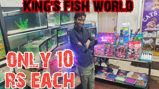 only Sunday offer on fishes at king's fish world hyderabad hari bowli X road | exotic cats cage