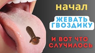 Просто начал жевать ГВОЗДИКУ, и избавился от 15 недугов!!! Польза и вред гвоздики
