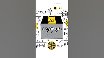 Schrödinger’s Cat Explained: #riemannhypothesis #riemann #facts #space