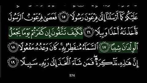سوره المزمل للشيخ هاني الرفاعي