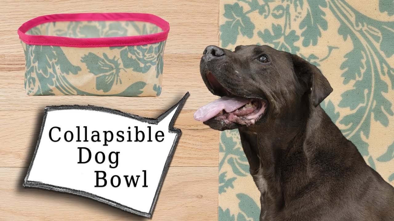 fold up dog water bowl