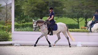 Developing Dressage Horse Quina del Pico - 2020 Lusitano by Escorial - Wellington, FL, March 2024