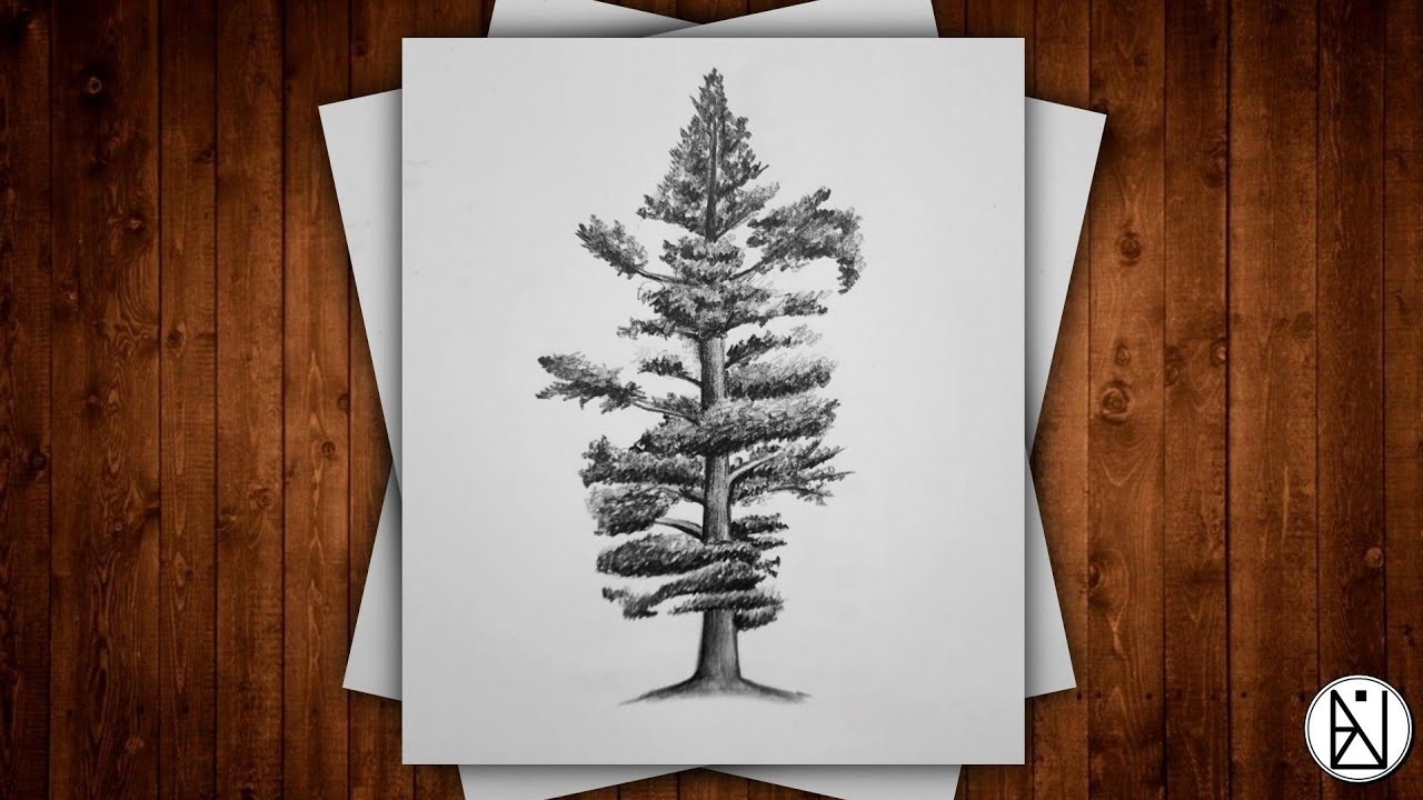 How to draw a pine tree with a pencil in the simplest way? - YouTube