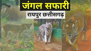 Jungle Safari Naya Raipur, Atal Nagar | Zoo | Raipur Chhattisgarh