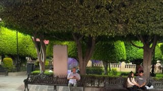 Rincones está en vivo