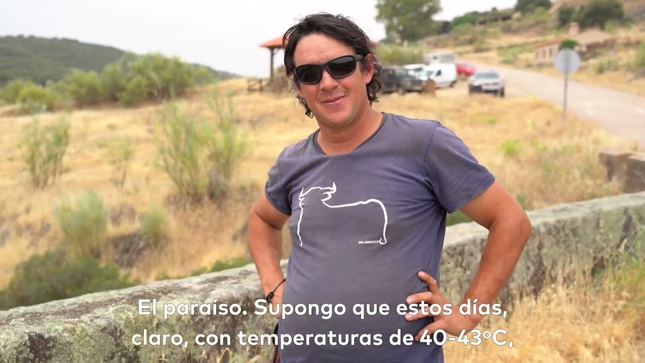 La trashumancia - Los tres puentes