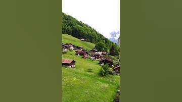 مقطع قران قصير تلاوة خاشعة بصوت الشيخ عبدالباسط عبدالصمد رحمه الله تعالى