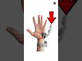 Your Brain is a Traitor! 🧠 (6th Finger) #Shorts #TechFacts #MindBlowing #facts