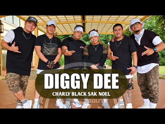 DIGGY DEE by: Charly Black & Sak Noel|SOUTHVIBES| class=