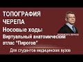 Топография черепа. Полость носа. Носовые ходы.