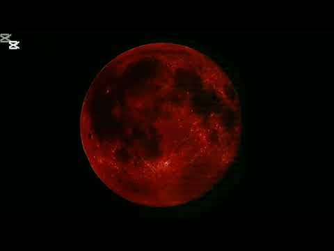 لومــيـنــال مصاصة دماء شاملل قوي جدا ومكثف100 موثوق اقوى لومينال فيه محفز مسرع مثبت ومزيل عوائق