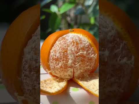 Only 3 Ingrendients！Cat Makes Orange Custard🍊 | Cat Cooking ASMR | Cute Cat TikTok#Shorts