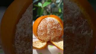 Only 3 Ingrendients！Cat Makes Orange Custard🍊 | Cat Cooking ASMR | Cute Cat TikTok#Shorts screenshot 2