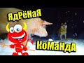 Хаски-Боняша и Хрюша-Свин Шалят в Первом Снегу)))Пришла Зима!!!Нас Завалило!!!