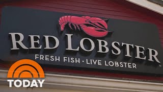 Famous Red Lobster CEO talks comeback, new menu, endless shrimp Wealth