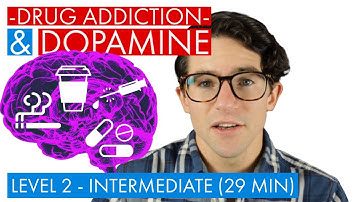 Dopamine, Drug Abuse, and Addiction (Difficulty Level 2 - Intermediate - 29 min)