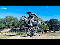 跟着铜牛走进美國德州往事 / Walk into Texas History with a Herd of Bronze Longhorns