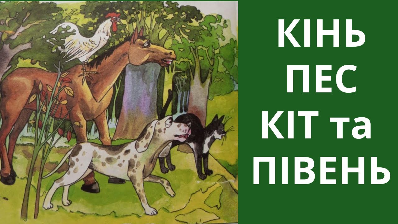 Українські народні колядки вірші