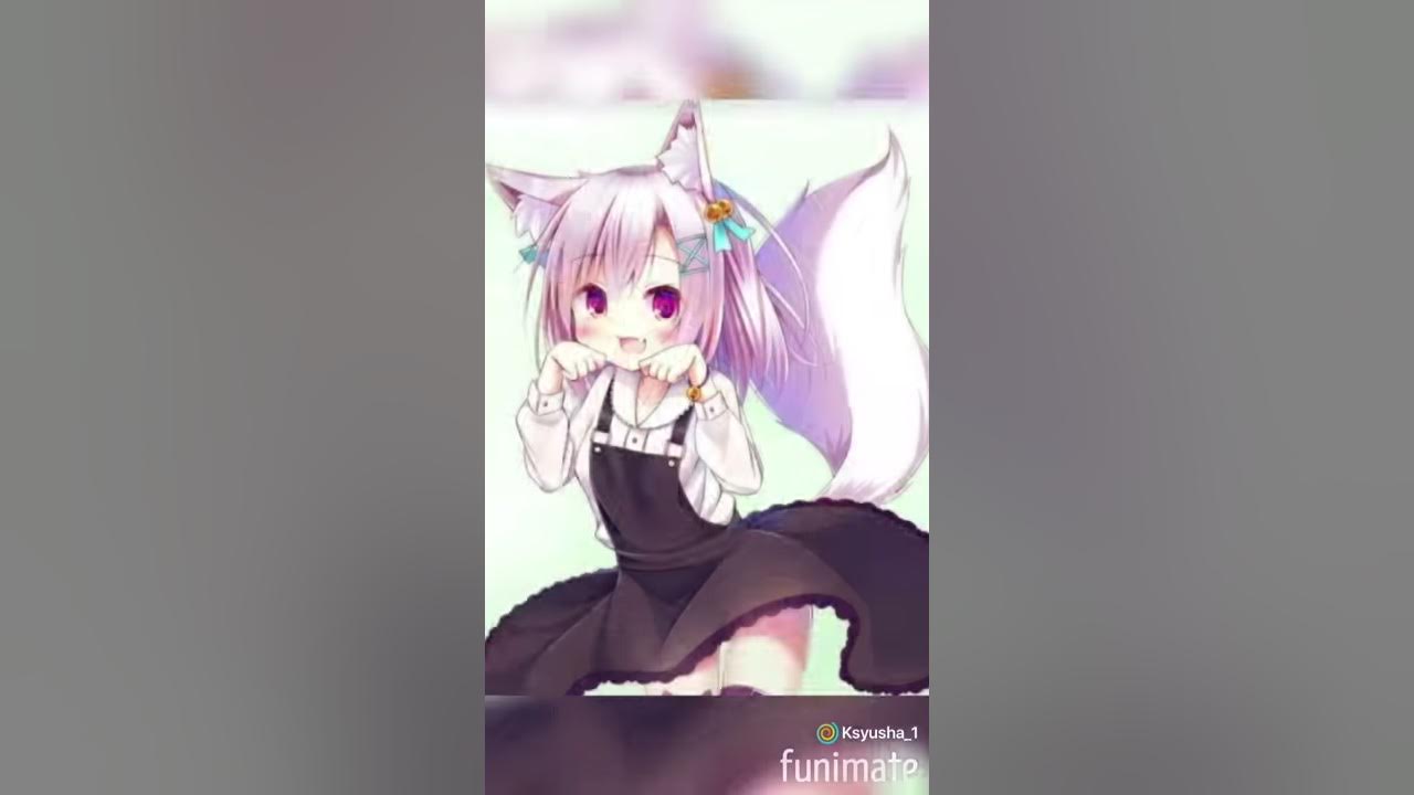 Неко-тянки - YouTube