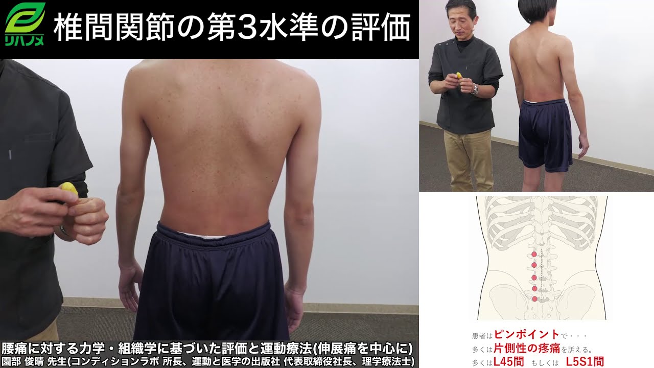 Biomechanical and histological assessment and exercise therapy for 