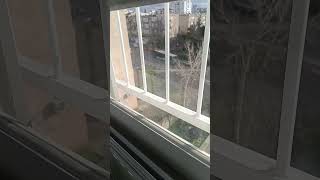 Mercedes Benz Oc500 Epsilon Of Egged On Route 19 In Haifa