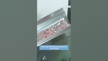 How to make pomegranate juice? #pomegranate  and #passionfruit  juice line for reference.