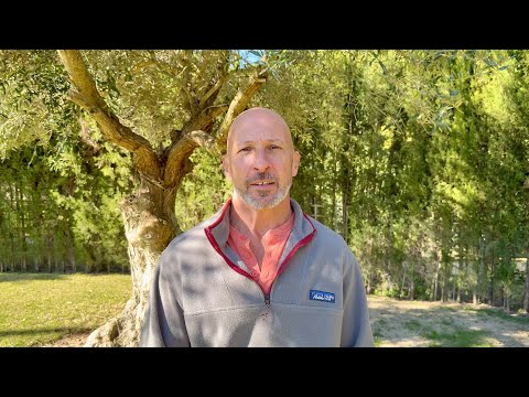 What Carnivore Diets Are Doing To People