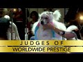 The Artero Dog Grooming International Championship ENGLISH