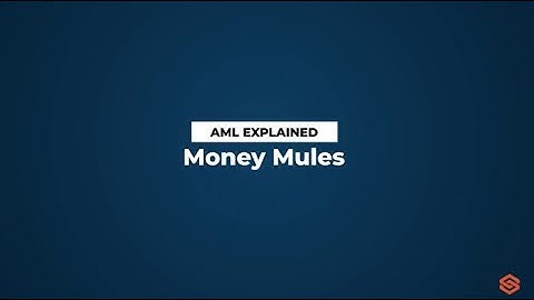 Para Katırı | AML Sözlüğü #23