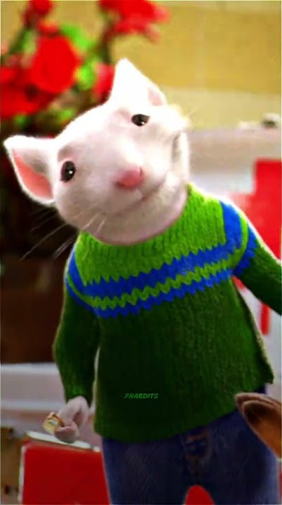 Stuart Little x S&M | WhatsApp Status