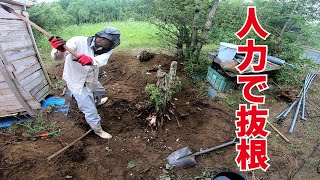 切り株を人力で抜根する方法 Youtube