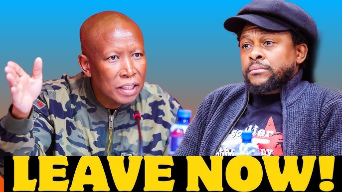 Julius Malema attacking Dr Mbuyiseni Ndlozi? LEAVE NOW! - YouTube