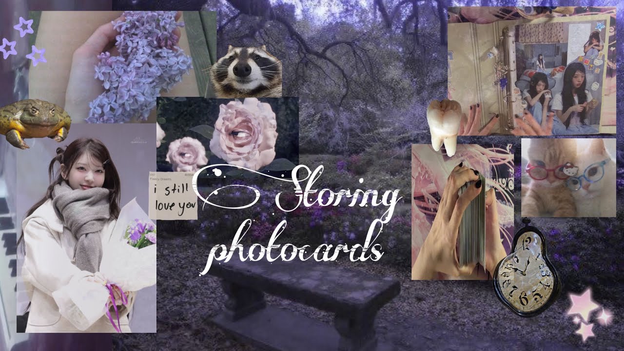 организация фотокарт/ storing photocards:illit, nmixx, twice, kiiikiii, stray kids ☆ミ