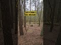 Wrócę tam #urbexpolska #urbex #opuszczone #exploracja