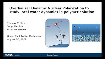 Overhauser Dynamic Nuclear Polarization to study water dynamics near polymers #GlobalnmrTC2022