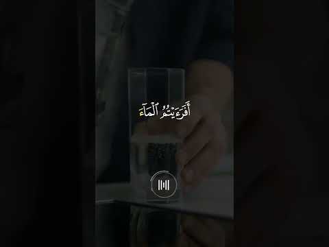 افرءيتم الماء الذي تشربون ياسر الدوسري تلاوة خاشعة 
