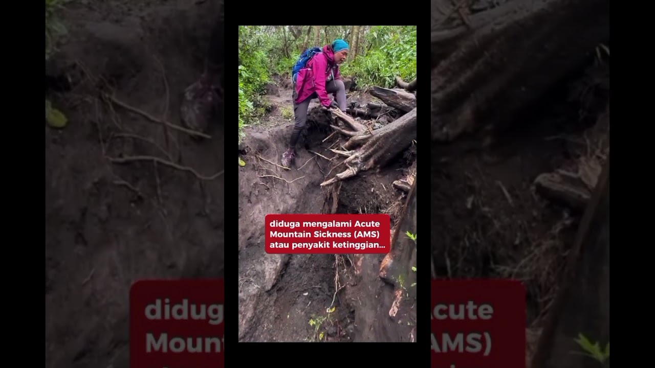 Profil Mamak pendaki yang hembuskan nafas terakhir di Gunung Papua 