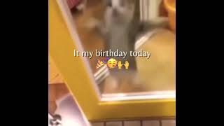 My birthday was two days ago ( posted twice on accident
